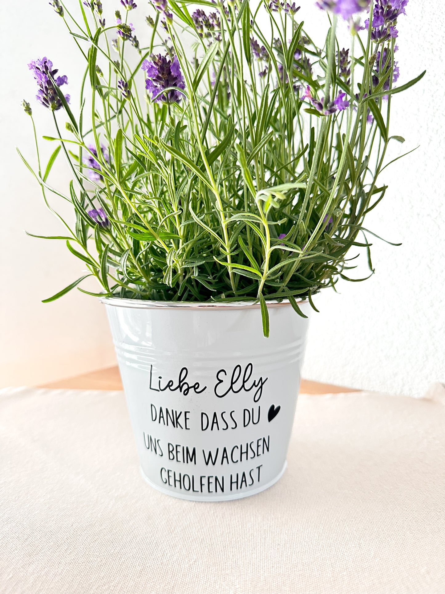 Blumentopf mit Spruch- Lehrer/ Erzieher