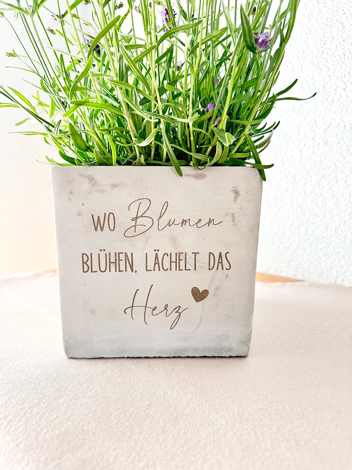 Blumentopf- "wo Blumen blühen"