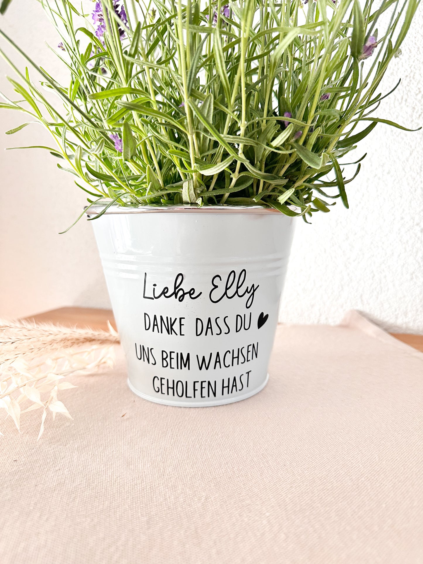 Blumentopf mit Spruch- Lehrer/ Erzieher
