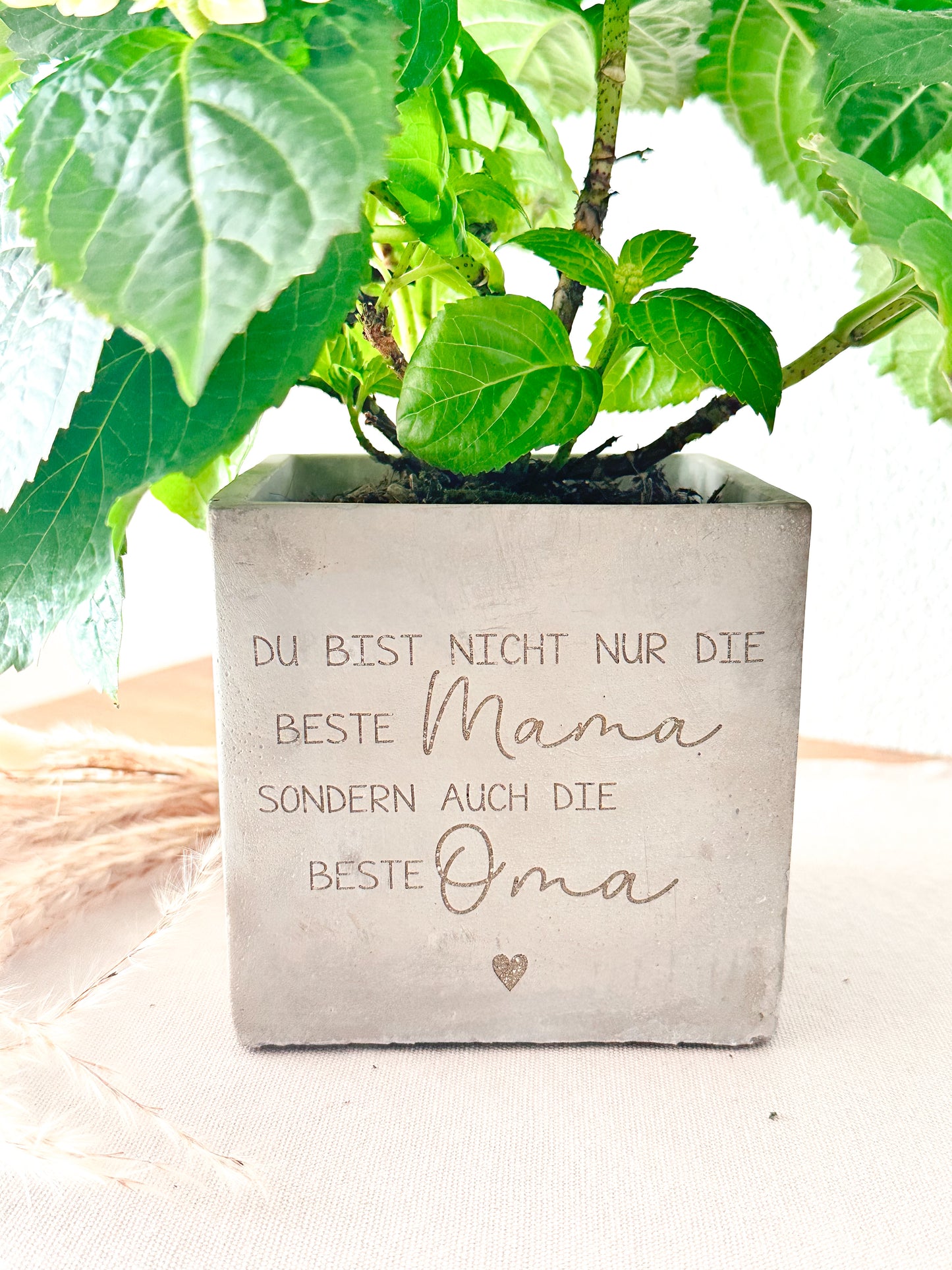 Blumentopf - Muttertag