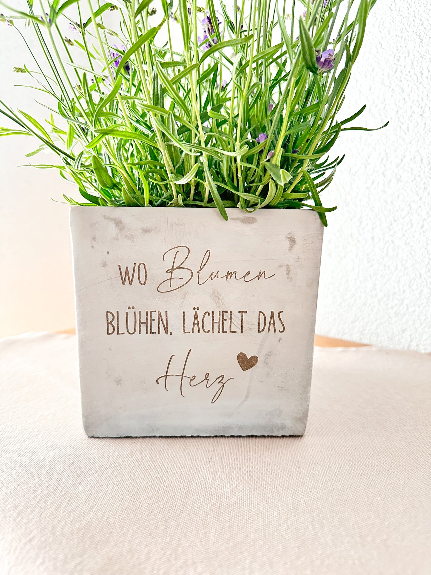 Blumentopf- "wo Blumen blühen"