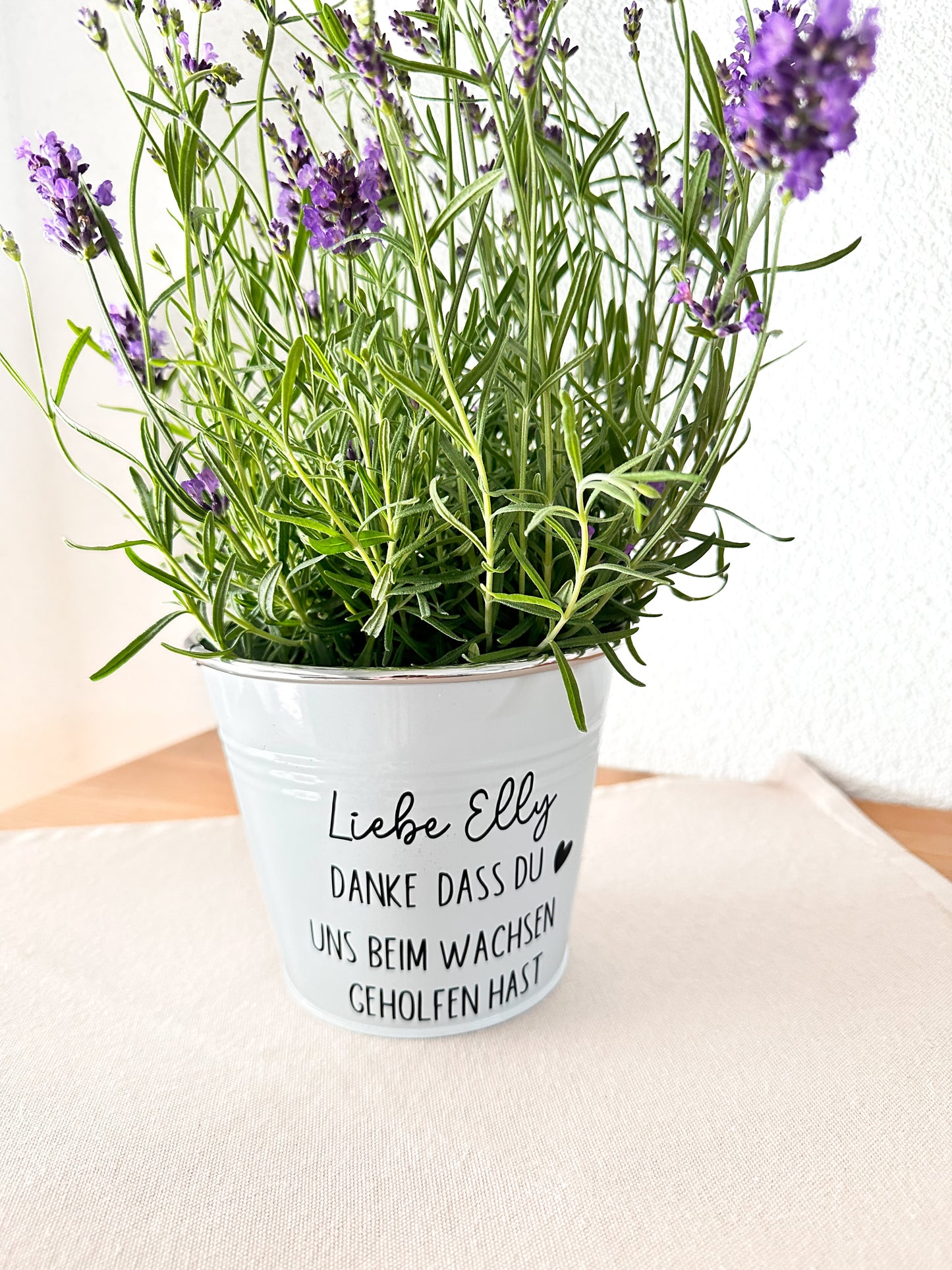 Blumentopf mit Spruch- Lehrer/ Erzieher