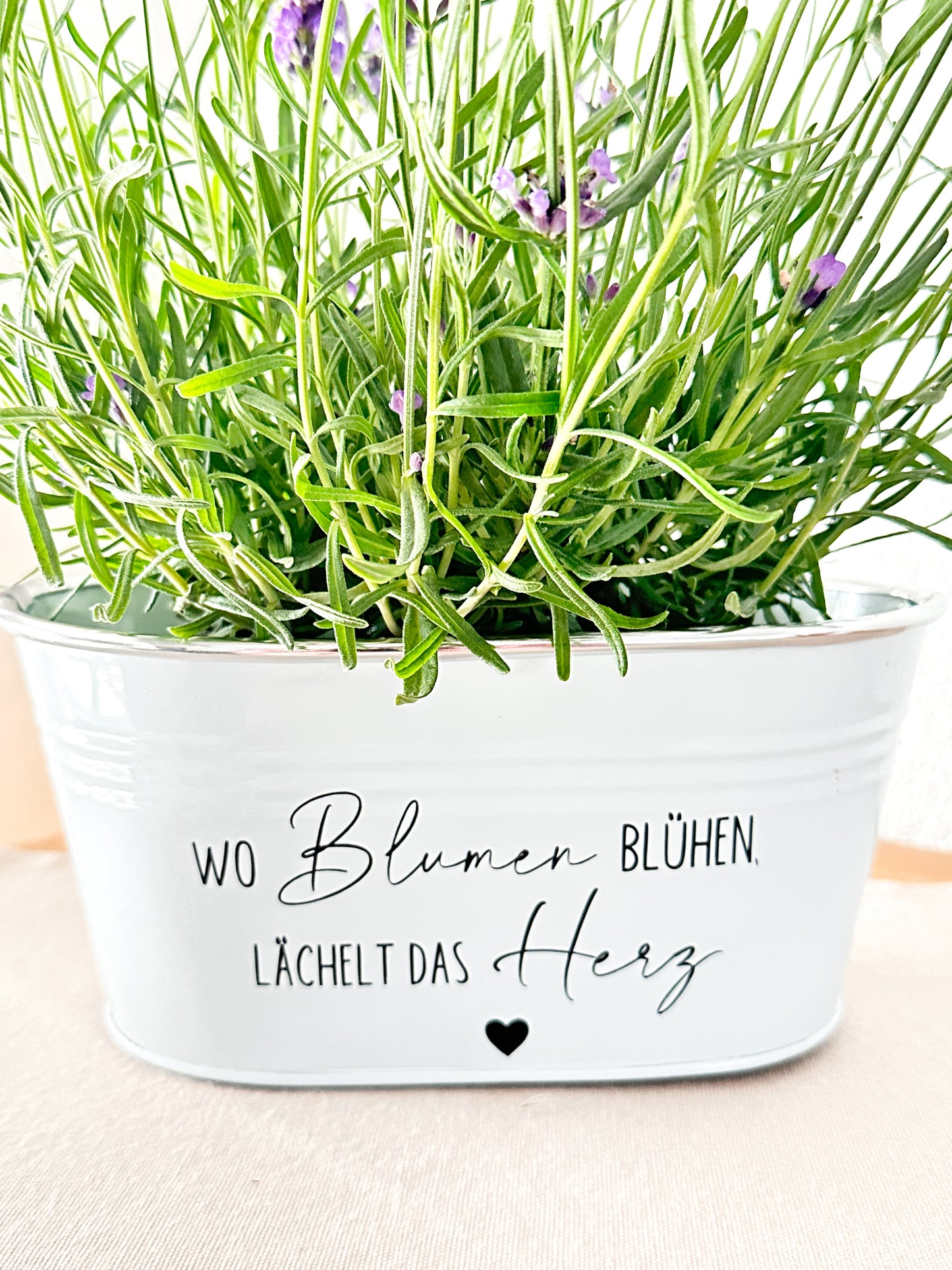 Personalisierter Blumentopf mit Spruch