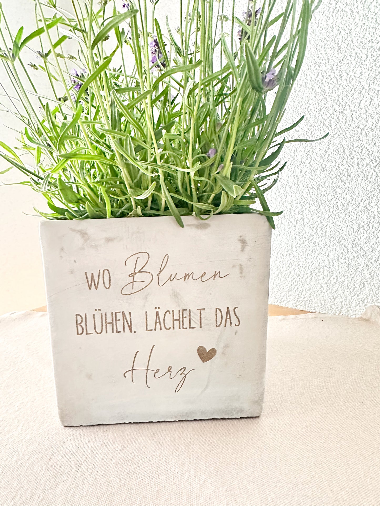 Blumentopf- "wo Blumen blühen"