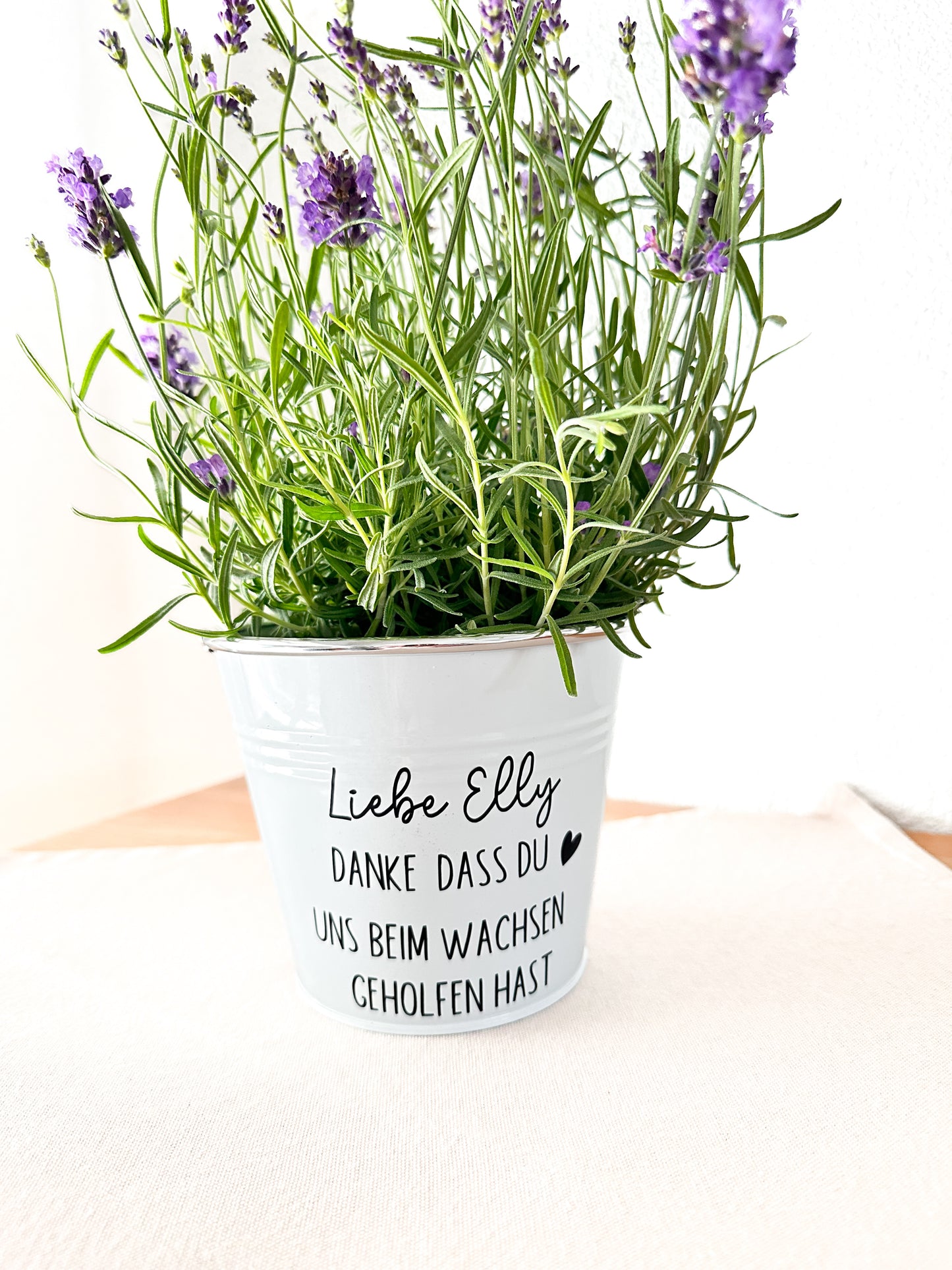 Blumentopf mit Spruch- Lehrer/ Erzieher