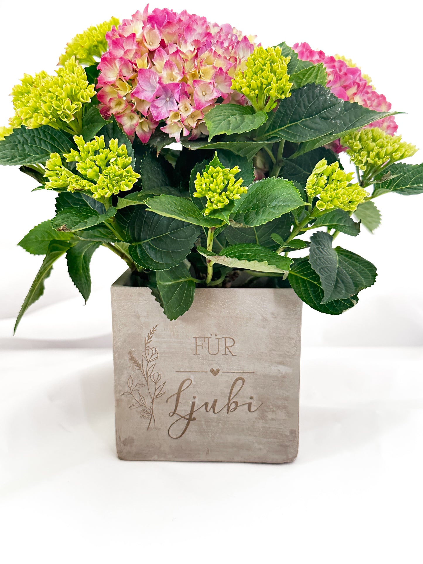 Blumentopf personalisert mit Name