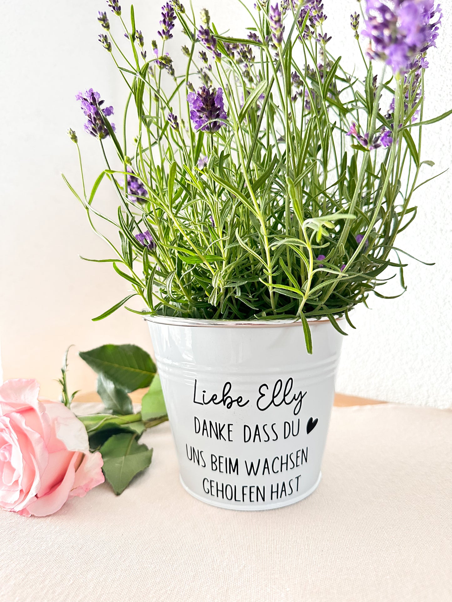 Blumentopf mit Spruch- Lehrer/ Erzieher