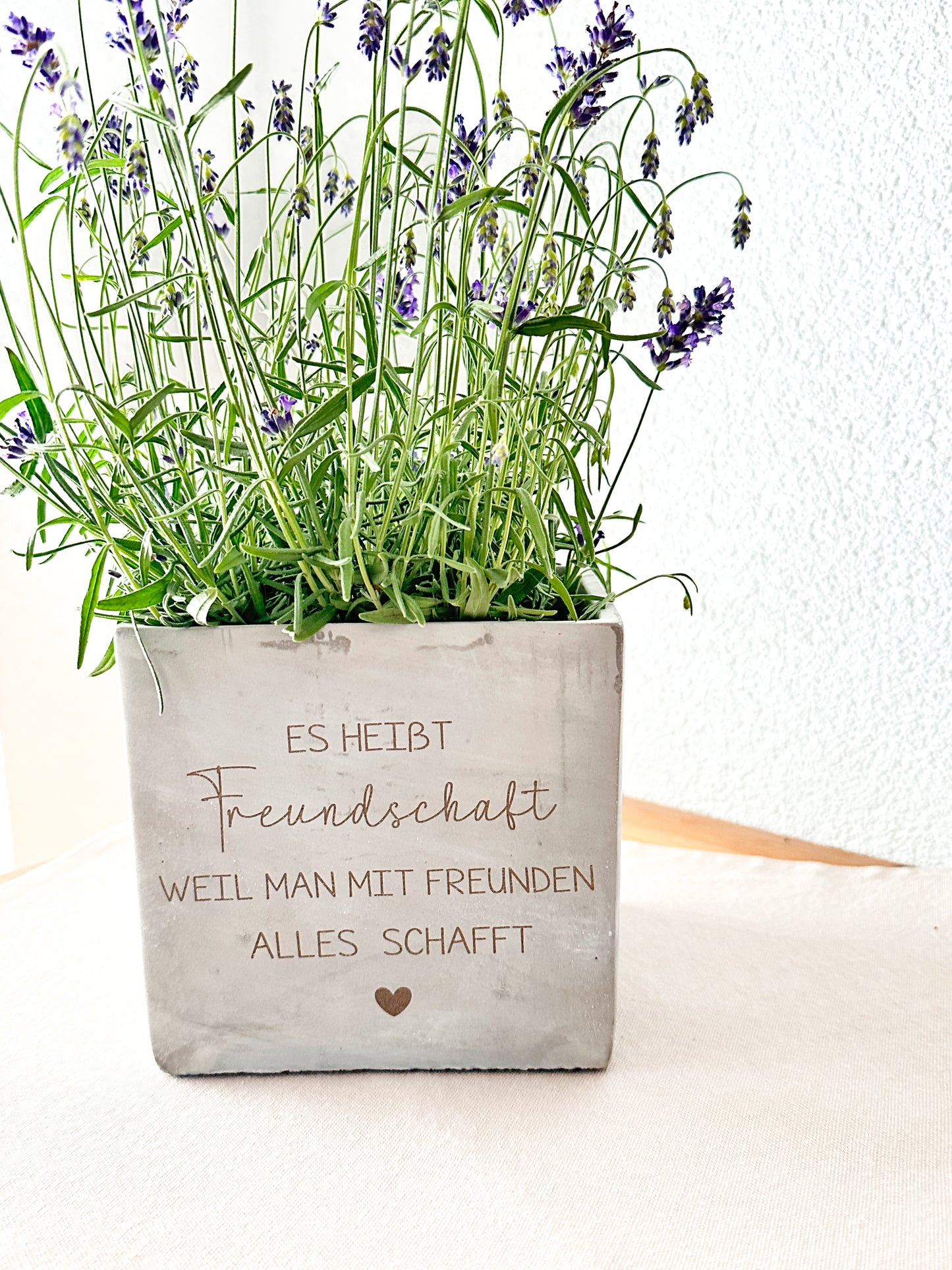 Blumentopf in Betonoptik- Freundschaft