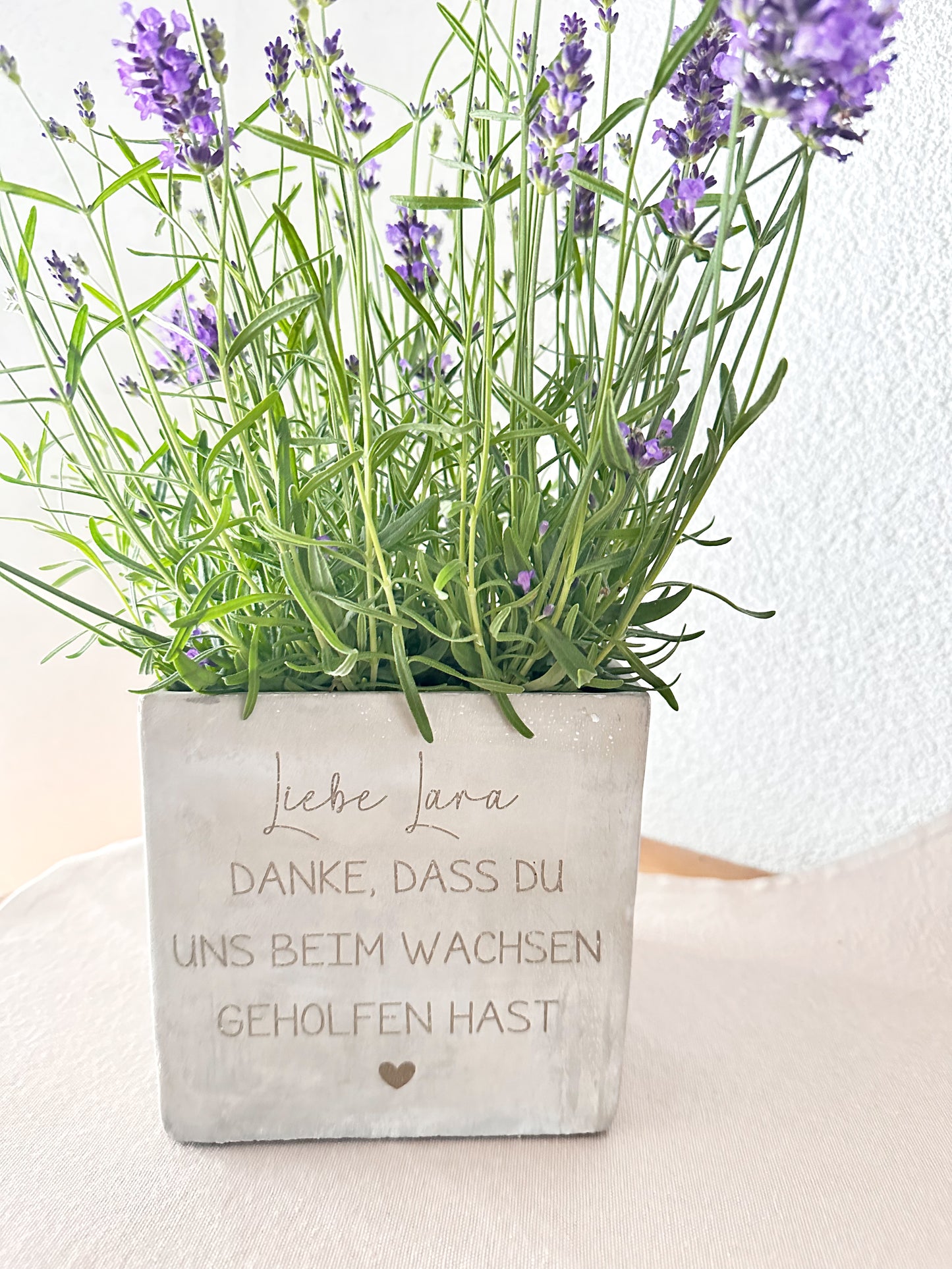 Blumentopf-Lehrer Abschied