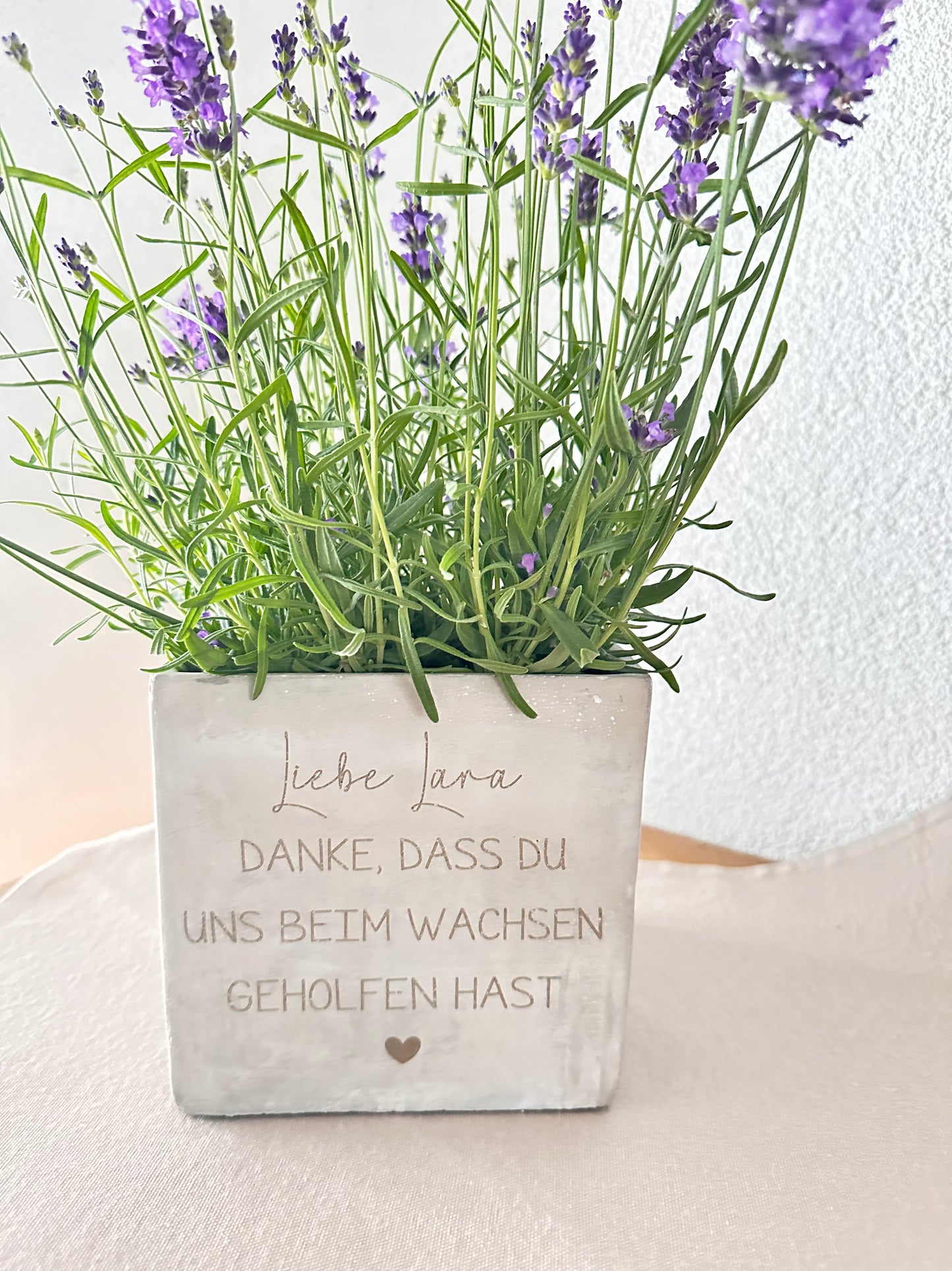 Blumentopf-Lehrer Abschied