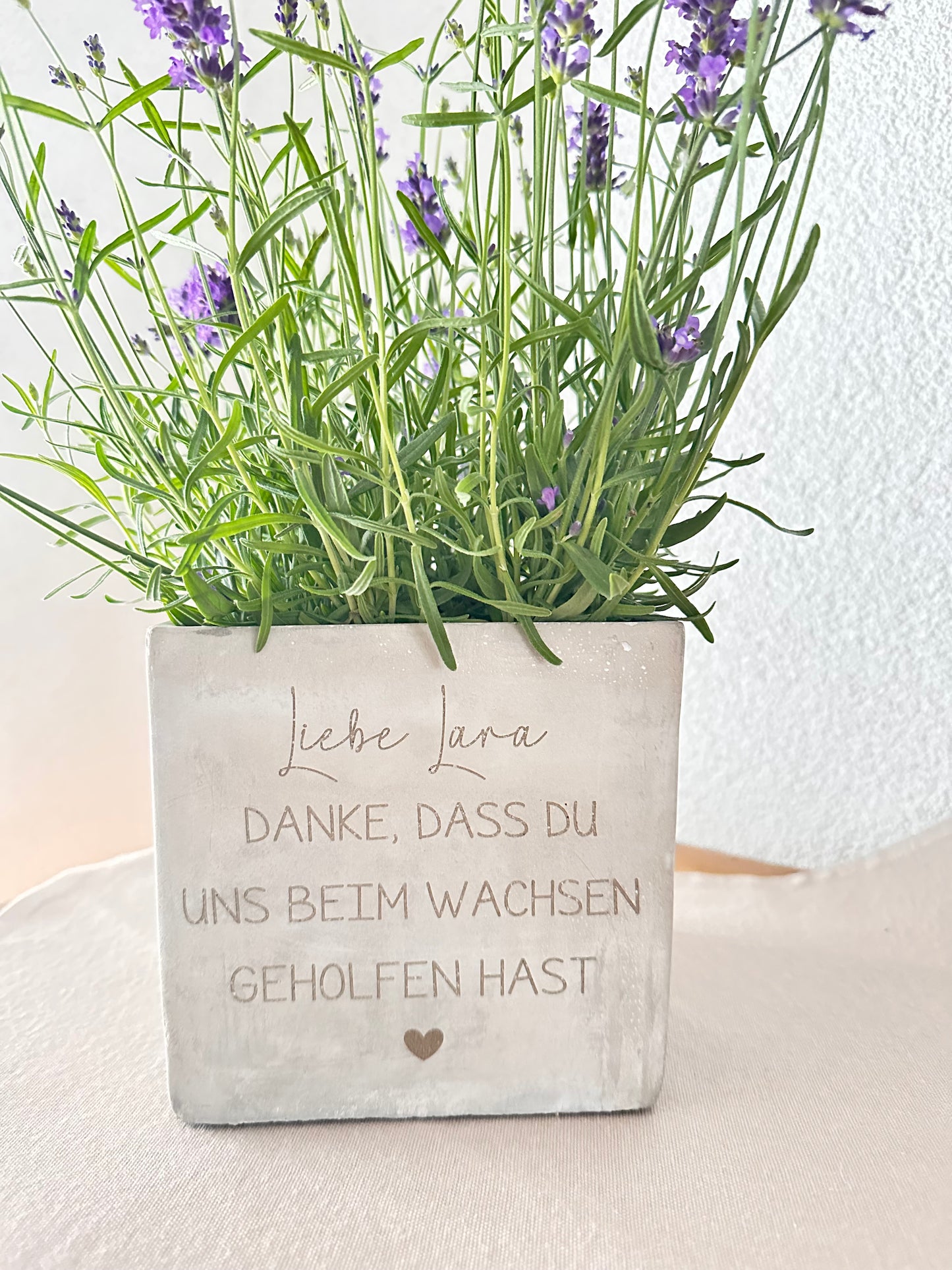 Blumentopf-Lehrer Abschied