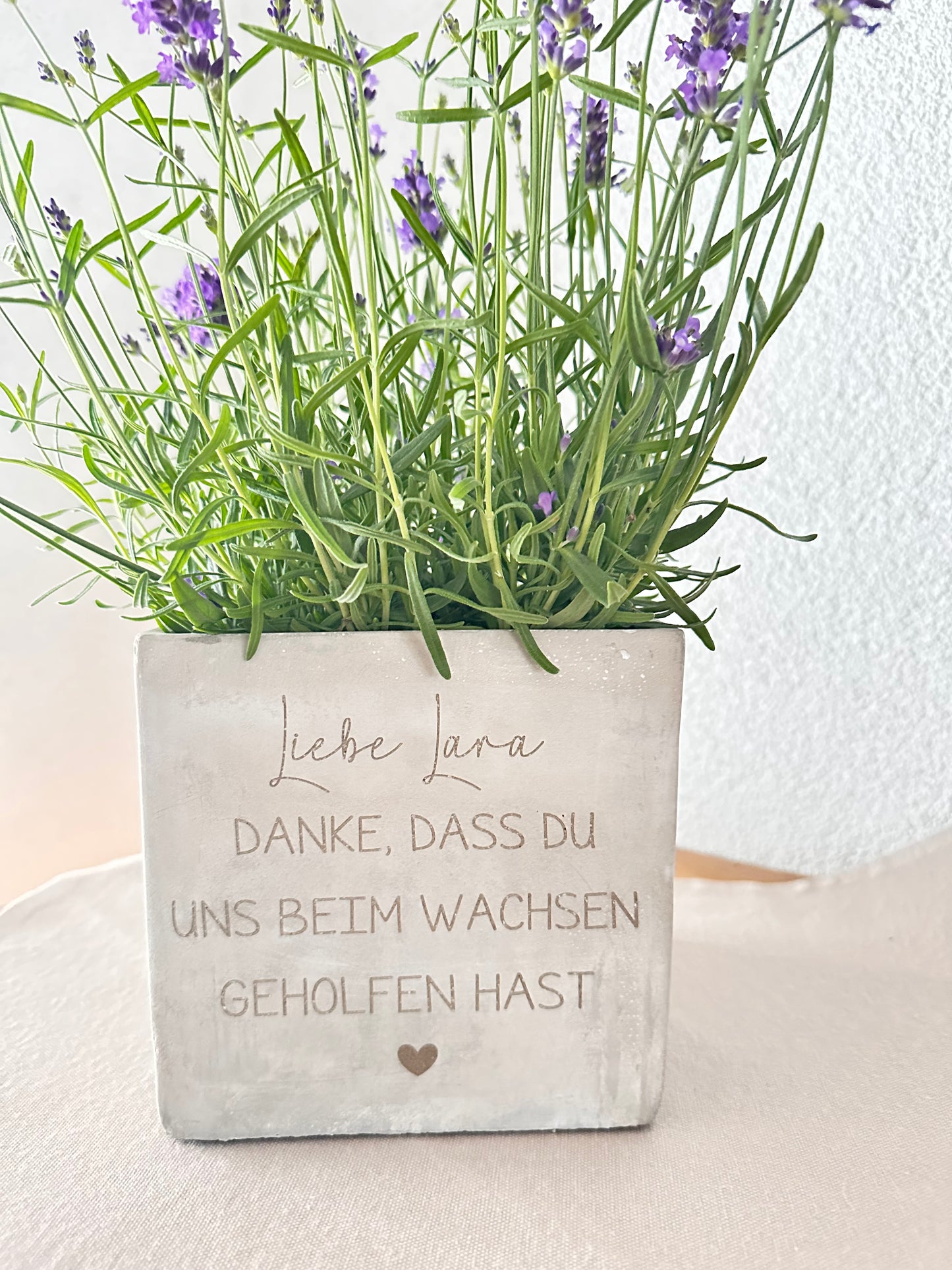 Blumentopf-Lehrer Abschied