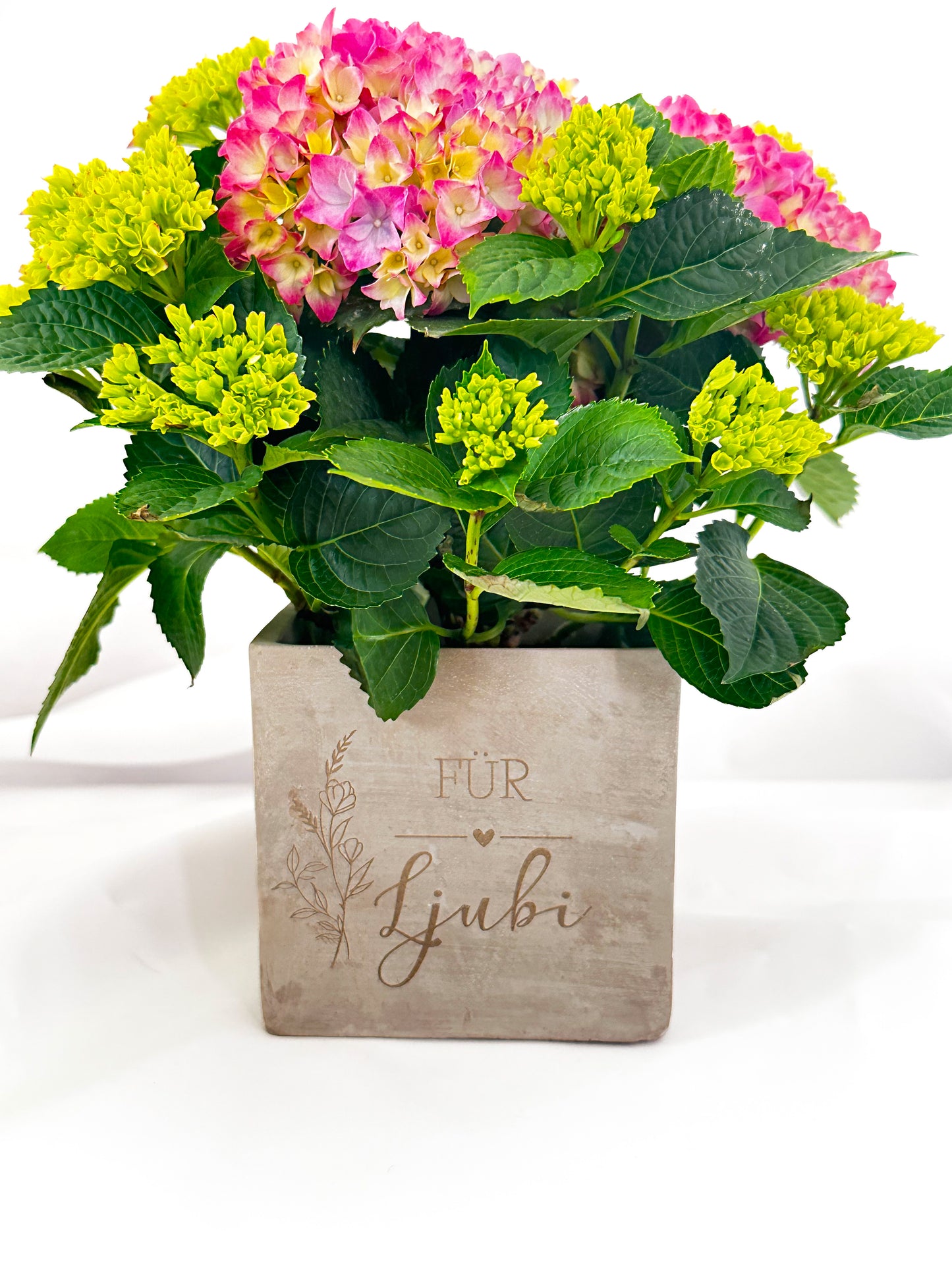 Blumentopf personalisert mit Name