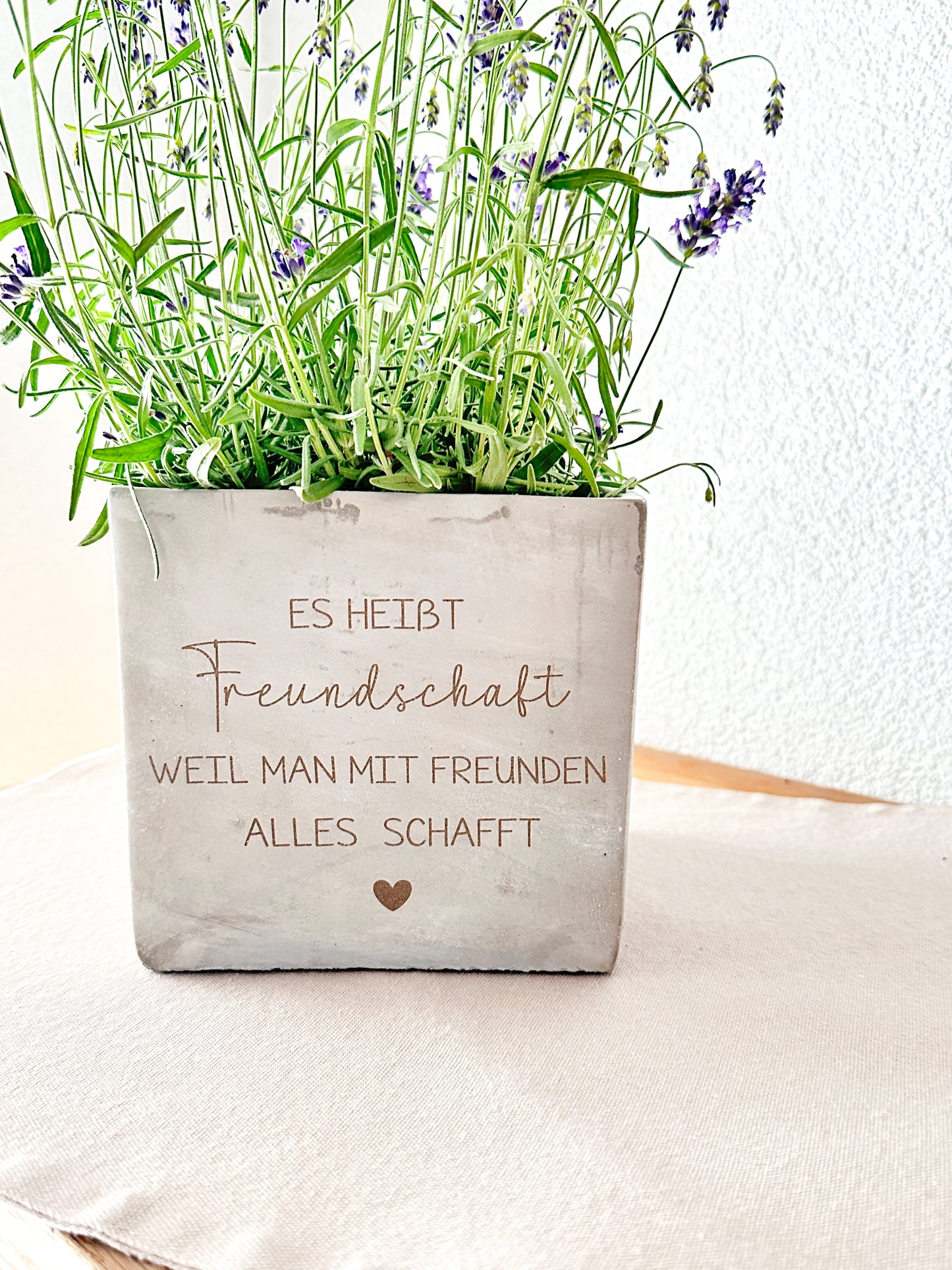 Blumentopf  in Betonoptik- Freundschaft