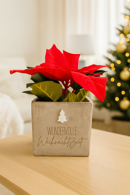 Blumentopf- Wundervolle Weihnachten