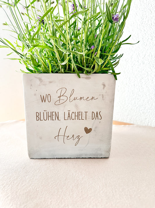 Blumentopf- "wo Blumen blühen"