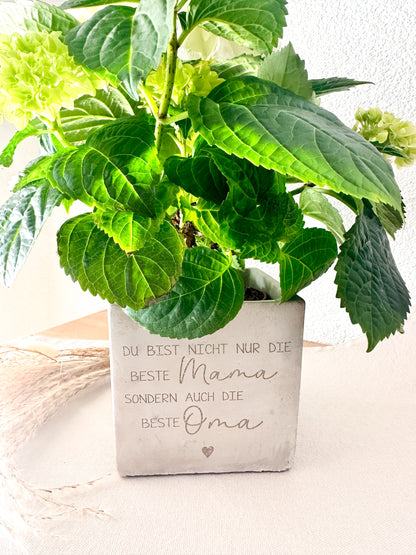 Blumentopf - Muttertag
