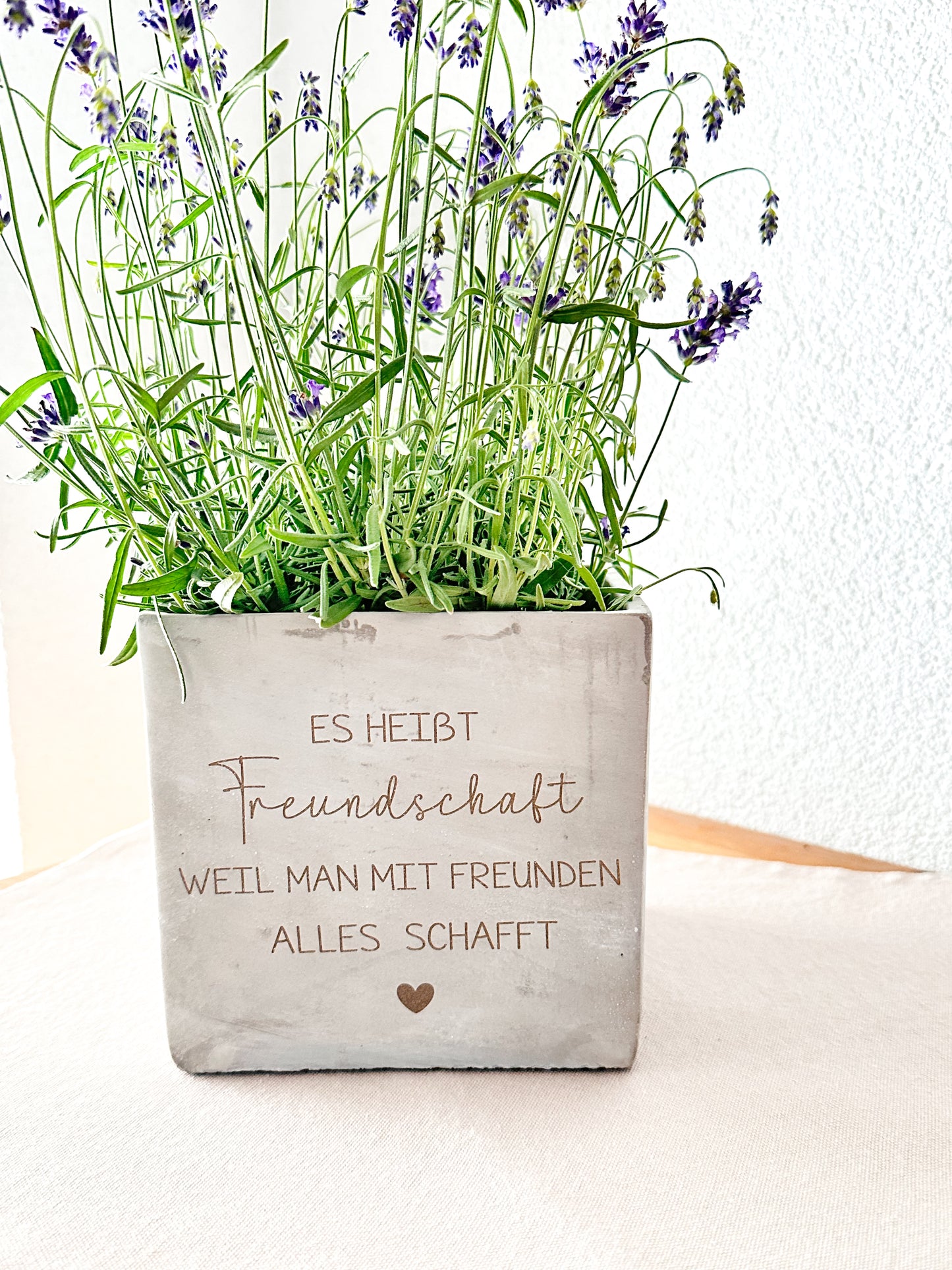 Blumentopf  in Betonoptik- Freundschaft