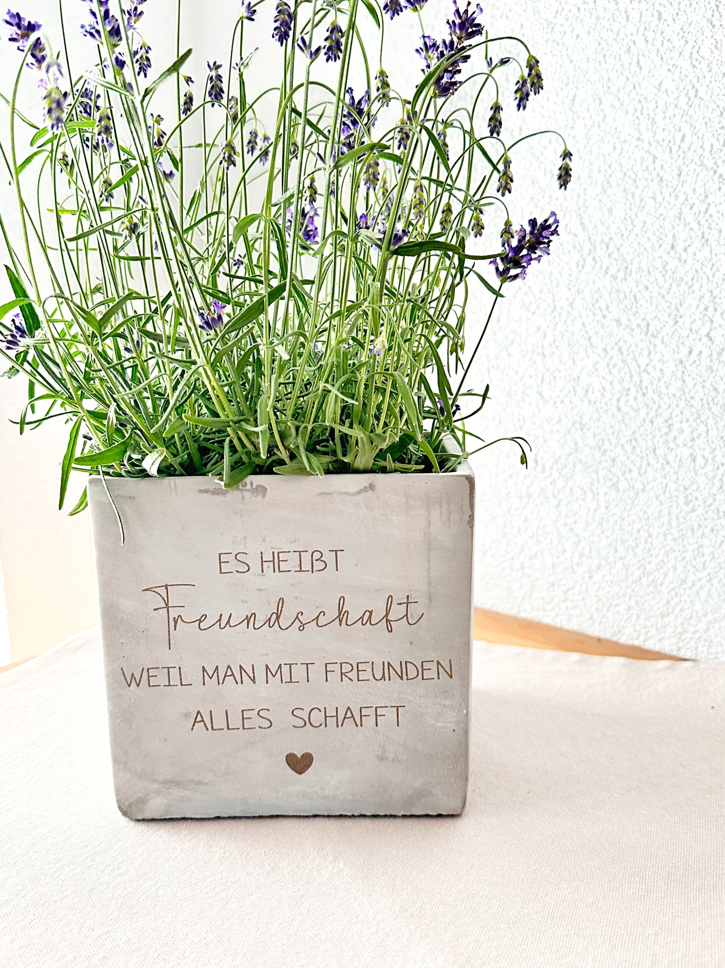 Blumentopf  in Betonoptik- Freundschaft
