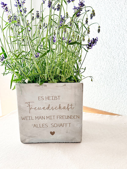 Blumentopf  in Betonoptik- Freundschaft