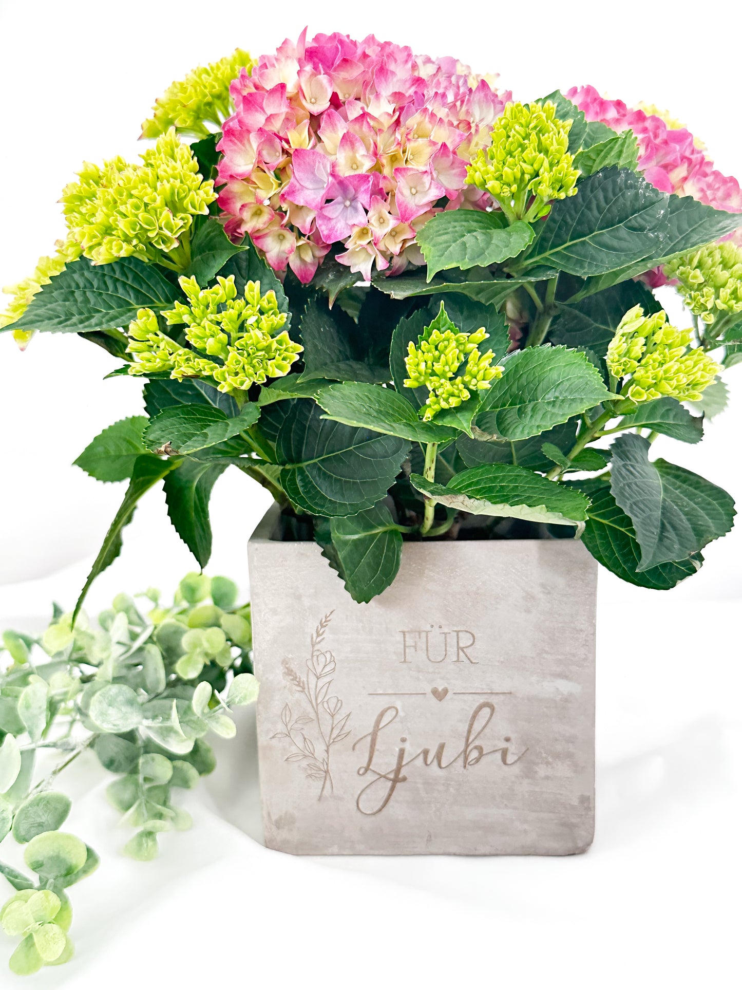 Blumentopf personalisert mit Name