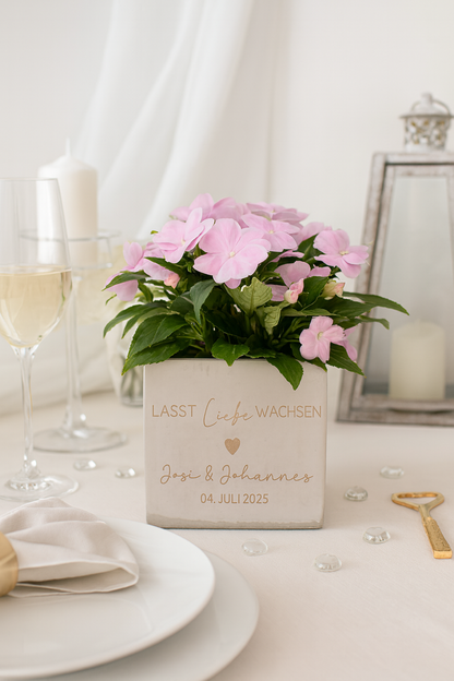 Blumentopf-Lasst Liebe wachsen