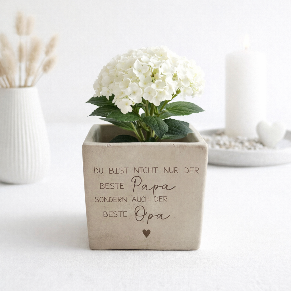 Blumentopf personalisiert mit Gravur Du bist nicht nur der beste Papa sondern auch der beste Opa. Dekorativer Blumentopf in Betonoptik mit weißer Hortensie als Pflanze. Emotionales Vatertagsgeschenk und personalisiertes Geschenk Papa Opa. Moderne Wohnraum Dekoration für Wohnzimmer oder Sideboard. Stilvolle Geschenkidee für Papa und Opa mit liebevoller Botschaft und dekorativer Zimmerpflanze.