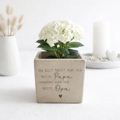 Blumentopf personalisiert mit Gravur Du bist nicht nur der beste Papa sondern auch der beste Opa. Dekorativer Blumentopf in Betonoptik mit weißer Hortensie als Pflanze. Emotionales Vatertagsgeschenk und personalisiertes Geschenk Papa Opa. Moderne Wohnraum Dekoration für Wohnzimmer oder Sideboard. Stilvolle Geschenkidee für Papa und Opa mit liebevoller Botschaft und dekorativer Zimmerpflanze.