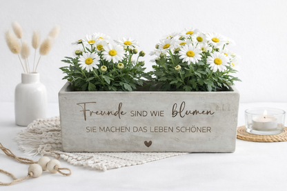 Dekorativer Blumentopf mit Freundschaftsspruch und Blumen als Geschenkidee.