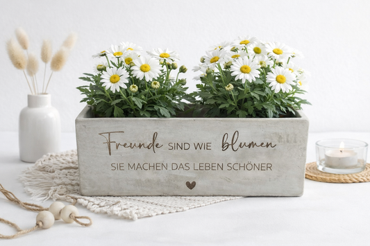 Dekorativer Blumentopf mit Freundschaftsspruch und Blumen als Geschenkidee.