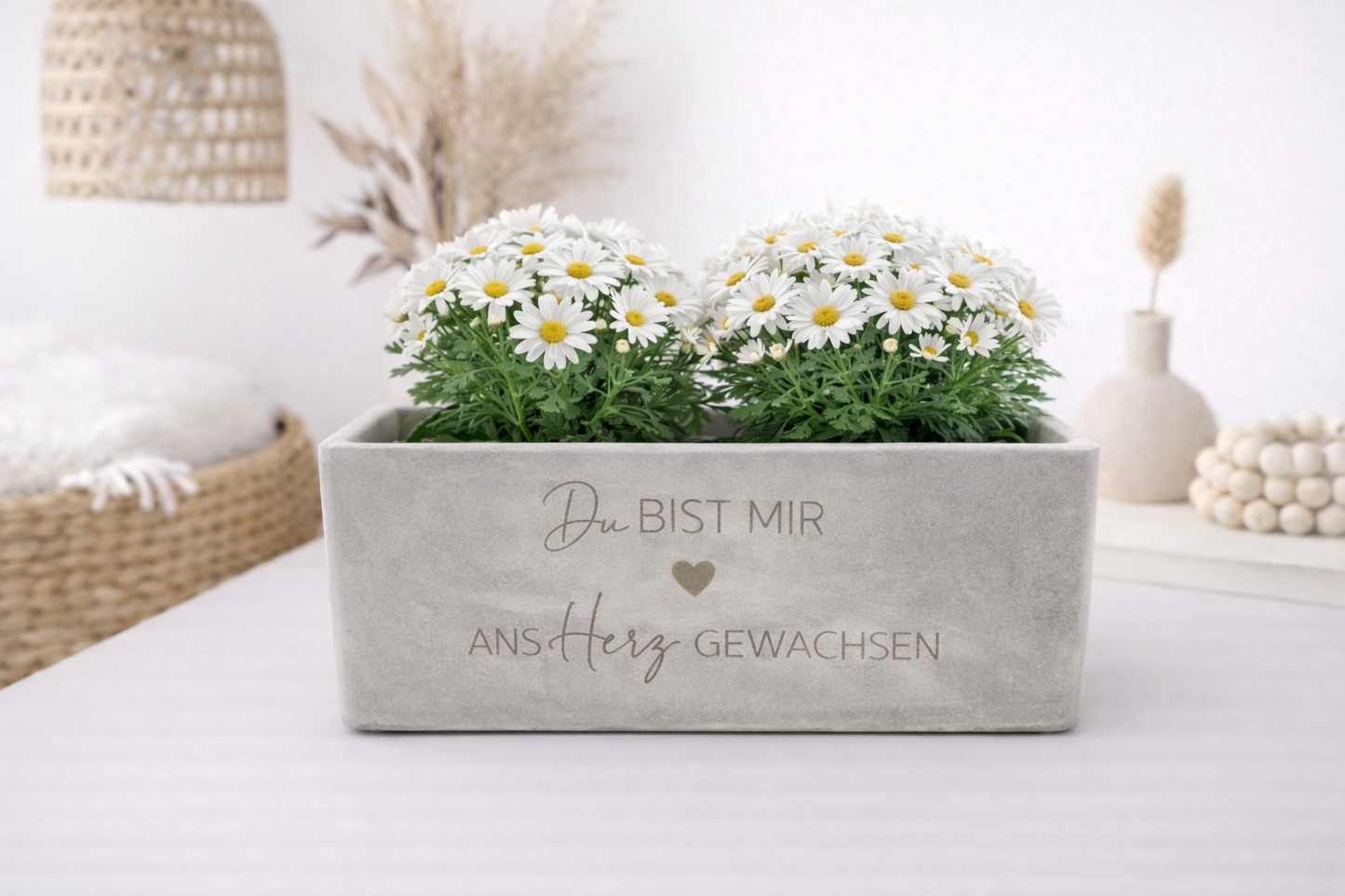Personalisierter Blumentopf in Betonoptik mit Schriftzug und Herz, bepflanzt mit weißen Margeriten, modernes Geschenk

