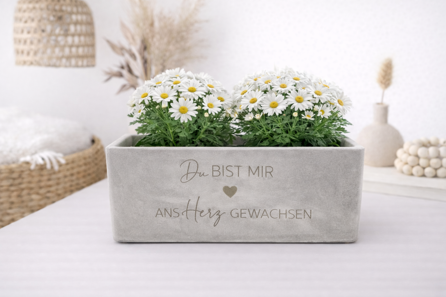 Personalisierter Blumentopf in Betonoptik mit Schriftzug und Herz, bepflanzt mit weißen Margeriten, modernes Geschenk
