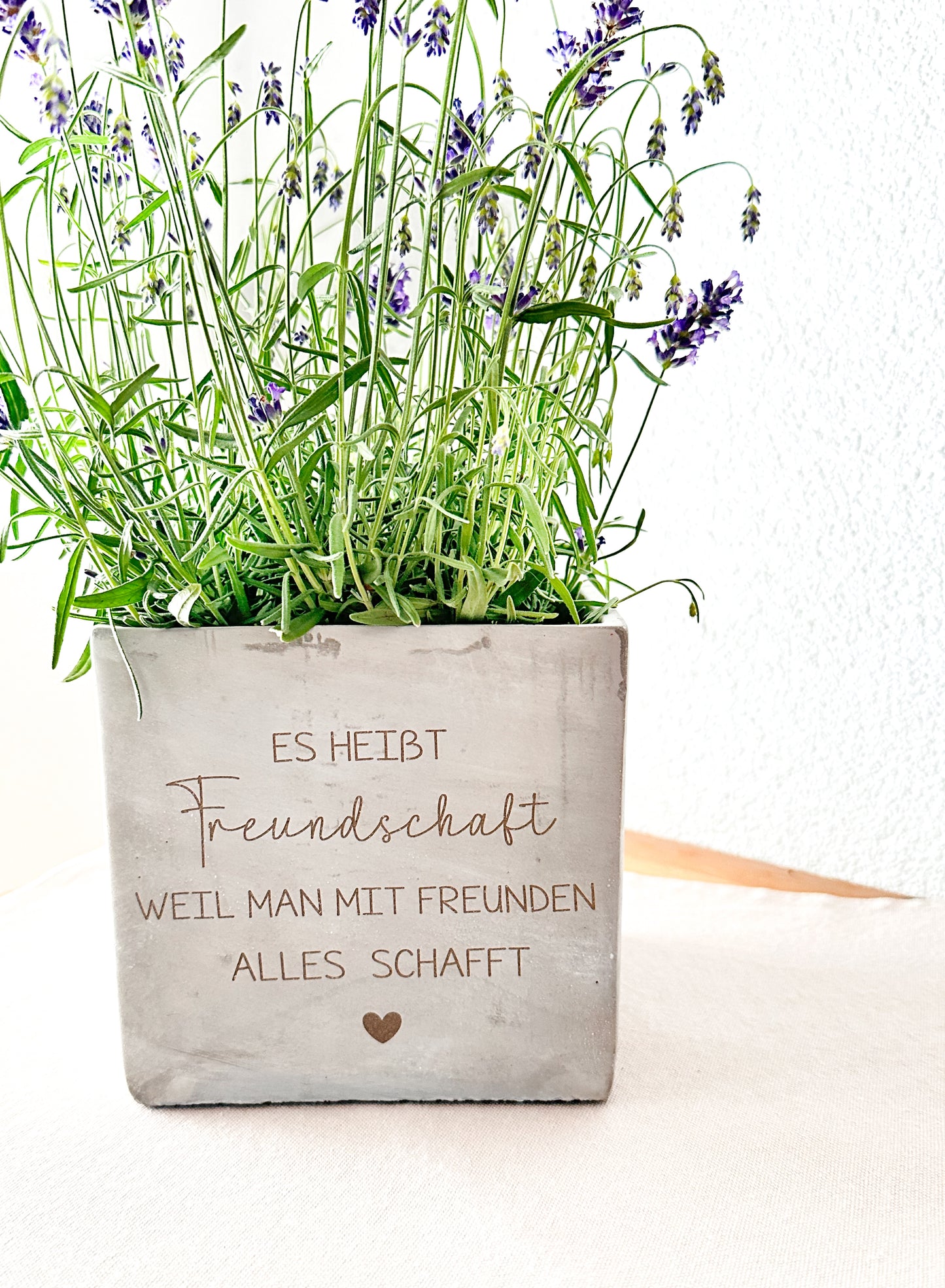 Blumentopf  in Betonoptik- Freundschaft