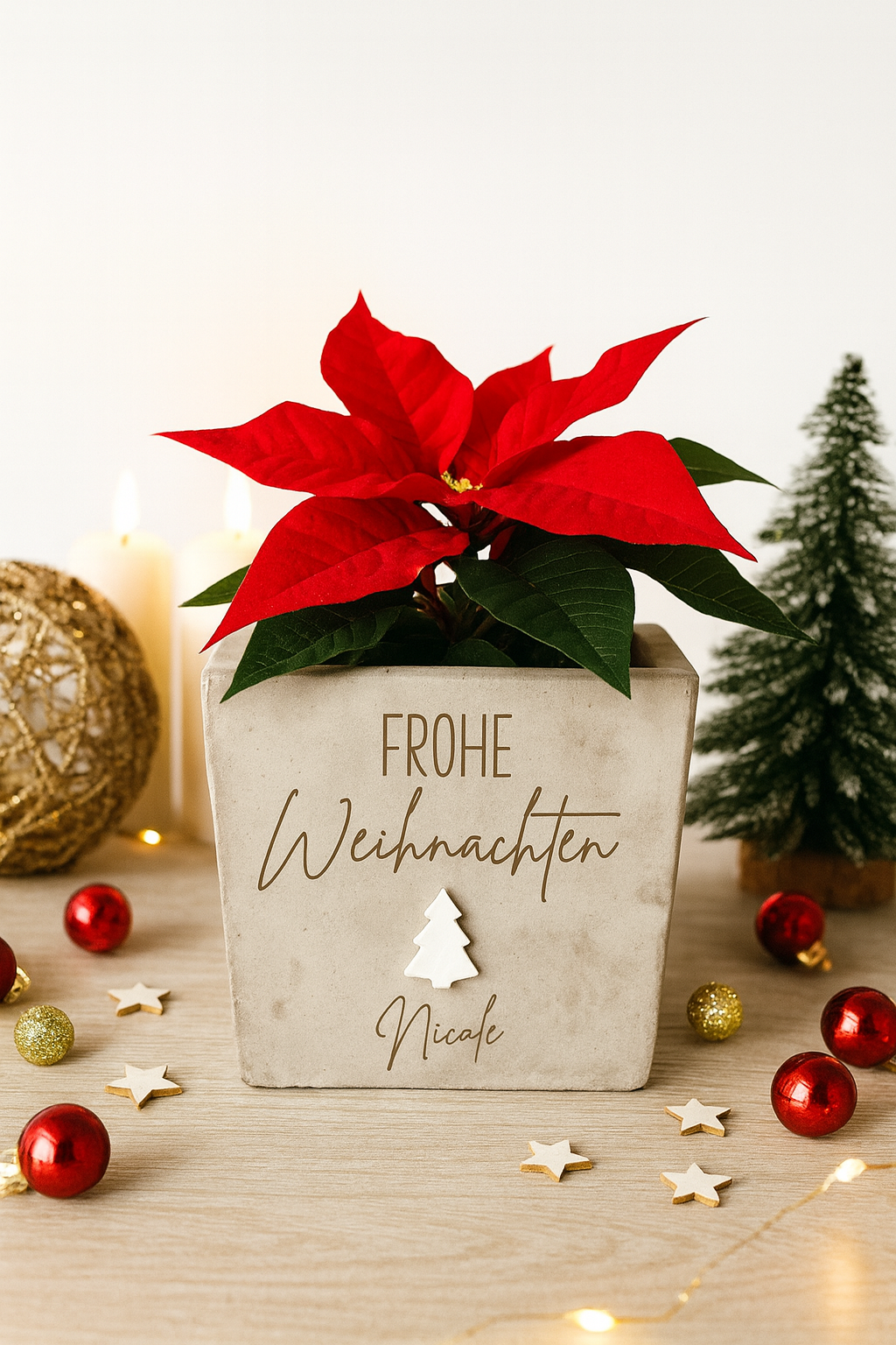 Blumentopf- Frohe Weihnachten