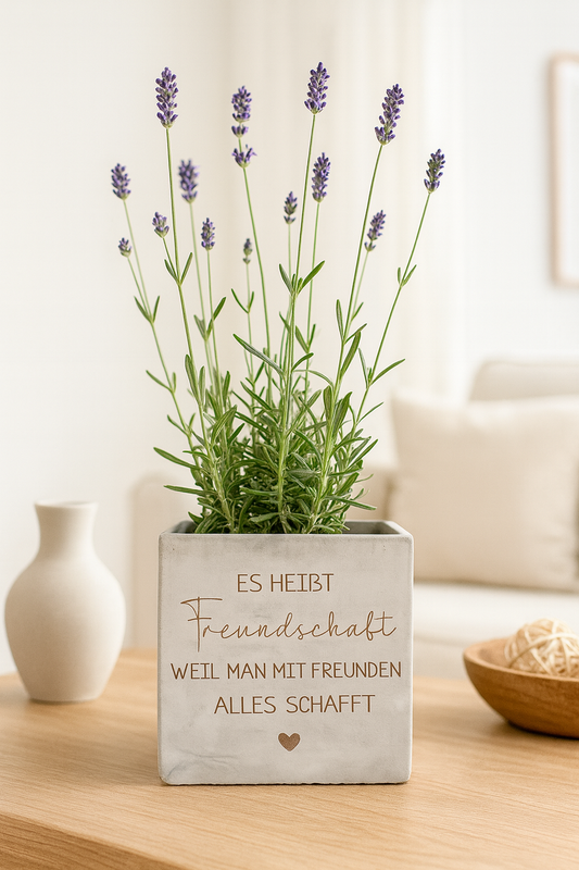 Blumentopf  in Betonoptik- Freundschaft