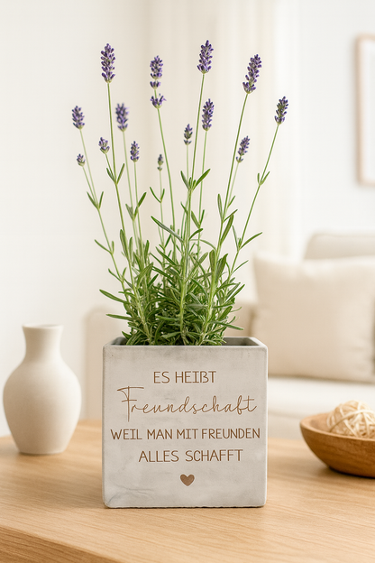 Blumentopf  in Betonoptik- Freundschaft