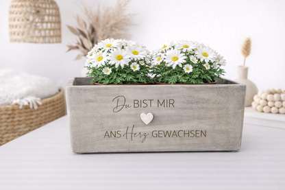 Blumentopf mit Gravur als Freundschaftsgeschenk oder Geschenk zur Hochzeit im modernen Wohnambiente