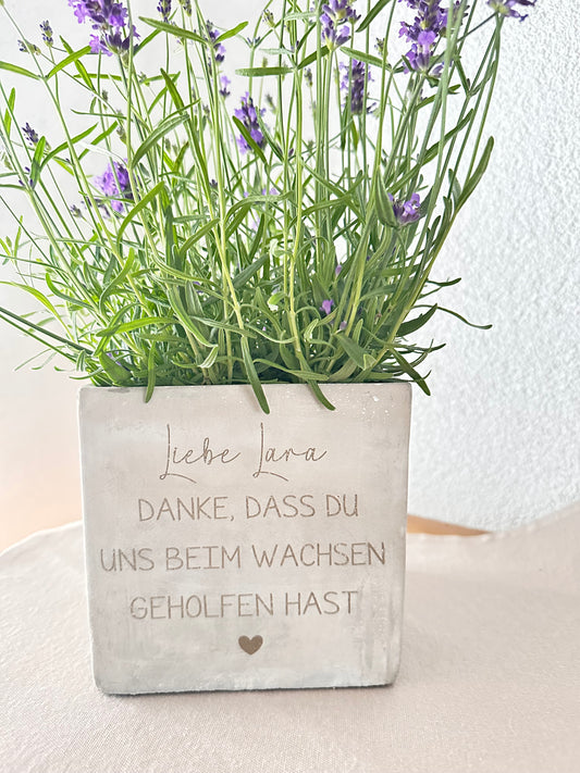 Blumentopf-Lehrer Abschied