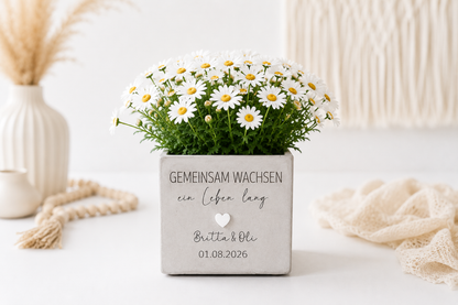 Dekorativer Blumentopf in Betonoptik mit Gravur „Gemeinsam wachsen“ als Geschenk zur goldenen Hochzeit oder zum Jahrestag.